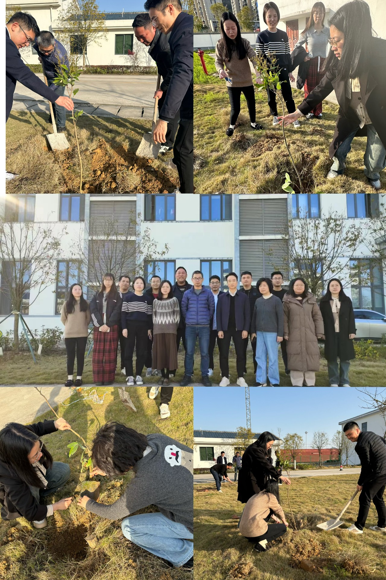 2024-3-12綠色陸港，美麗寧德，阮克妙拍攝.jpg